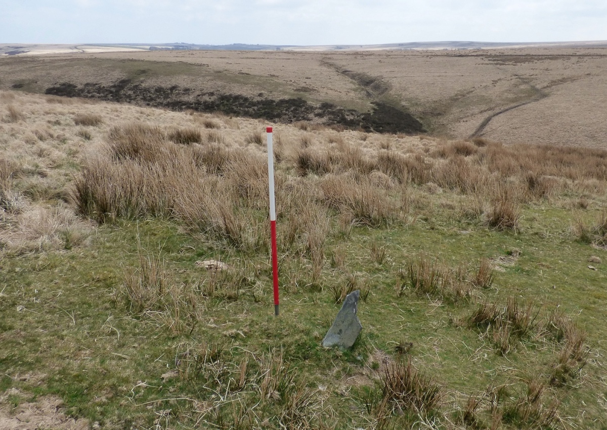 Stone 4 measures 0.16m long by 0.13m wide stands 0.38m high and is orientated at 17°. View from north west (Scale 1m).