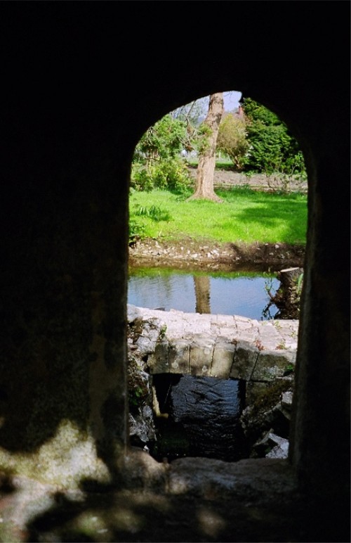 St Andrew's Well (Wells)