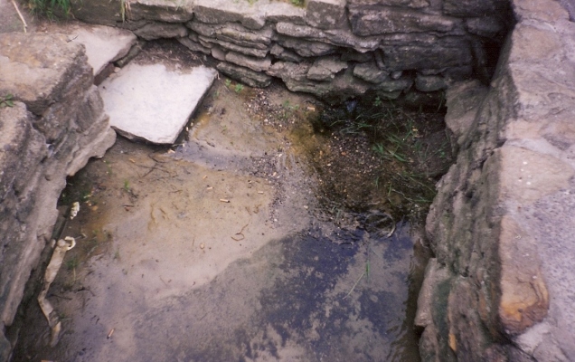 Holy Well (West Coker)