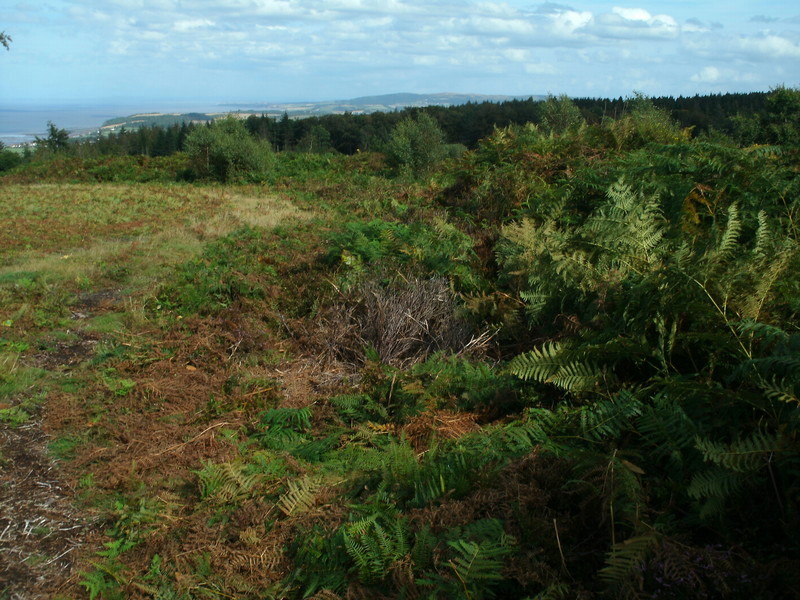 The earthwork to the south east of Bat's castle.