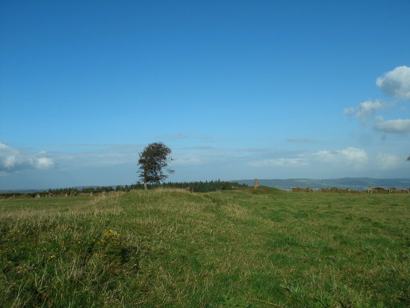 Elworthy Barrows hillfort, It looked to me that it was a collection of bronze age barrows on the hill that were been joined together the make the unfinished iron age 'fort', Makes you wonder about other forts and the use of barrows in their construction.