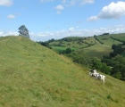 South Cadbury Castle - PID:244085