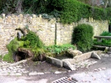 St Andrew's Well (Corton Denham) - PID:23968
