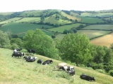 South Cadbury Castle - PID:244086