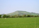 Brent Knoll Camp - PID:6531