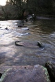 Tarr Steps Prehistoric Bridge - PID:103224