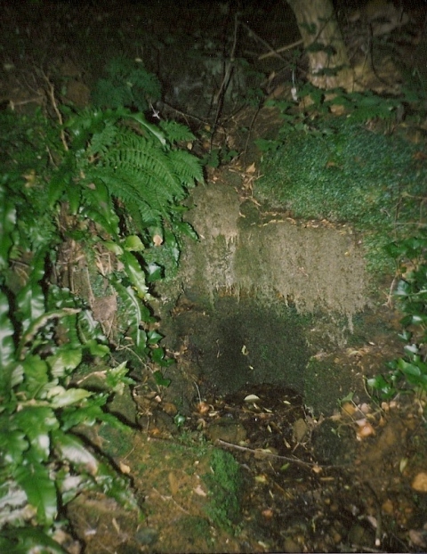 Lud well (Stainton-Le-Vale)