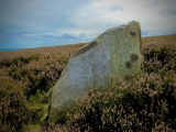 New Hagg (Hallam Moors) - PID:264342