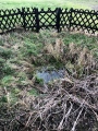 St. Mary's Well (Thelnetham) - PID:237244