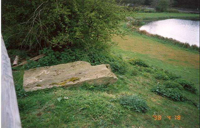 The Albury Stone in 1998 - the only result of a meticulous search for the missing megaliths described in the pamphlet, 