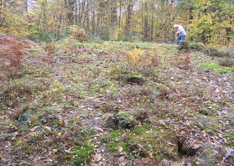 Longcross Barrow