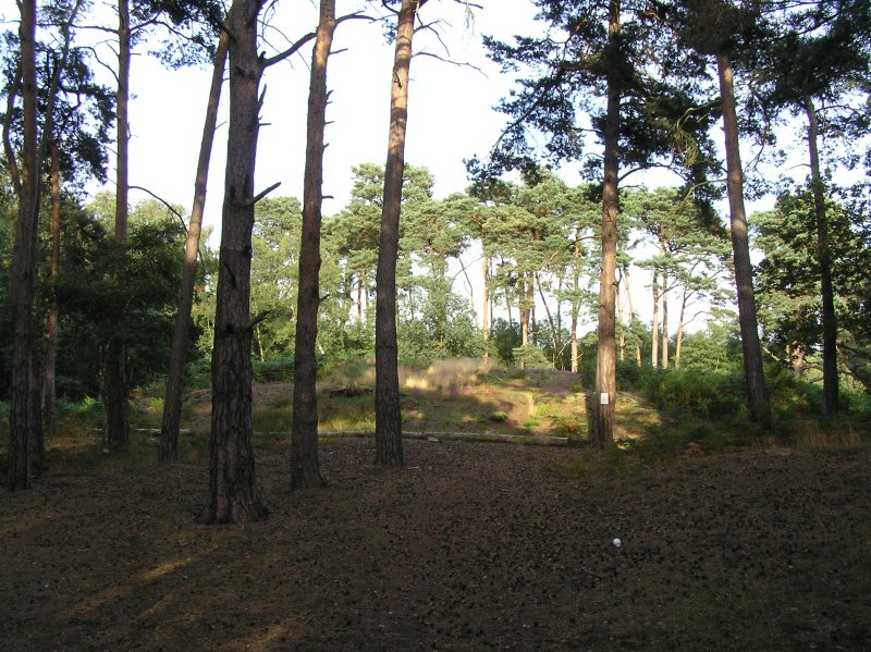 View of part of the barrow through the trees, it is enormous. 