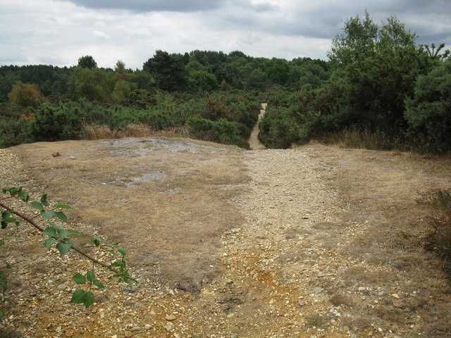 Frensham Common Barrows