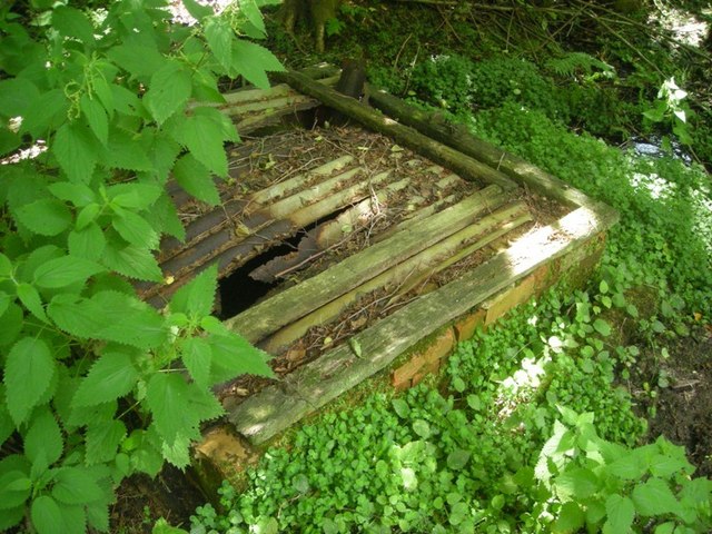 Mag's Well (Abinger Forest)