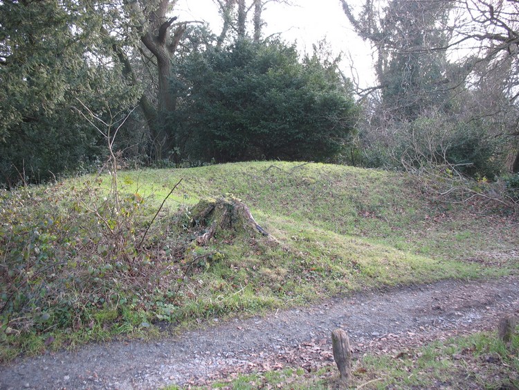 Box Hill Bowl Barrow 1