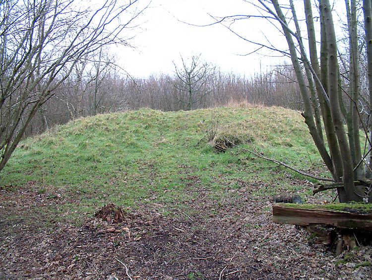 Barkhale Tumulus