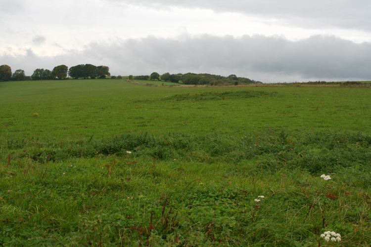 Bepton Down Bowl Barrow