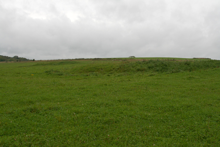 Bepton Down Platform barrow