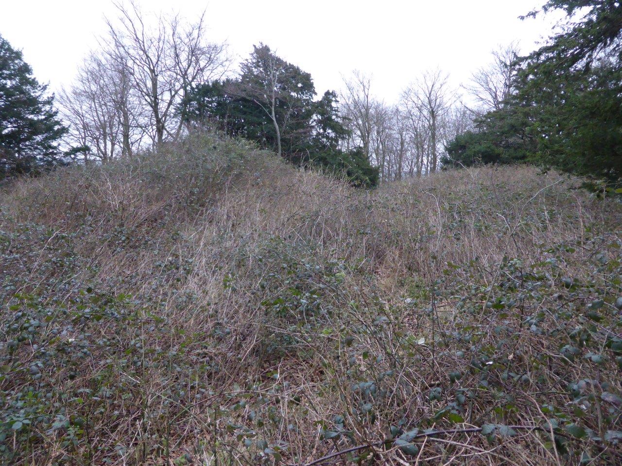 This image shows the twin mounds. It is quite overgrown with brambles but they do help protect this unique monument