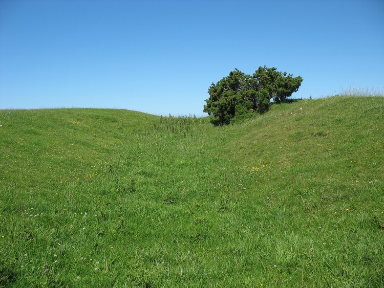 Section of the ditch (photo taken on June 2011).