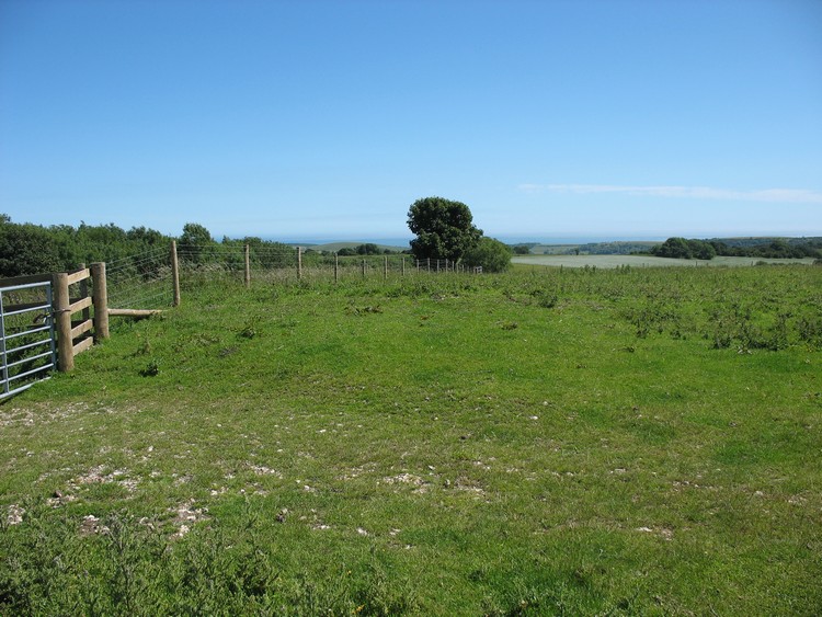 Chanctonbury Hill Bowl Barrow 6