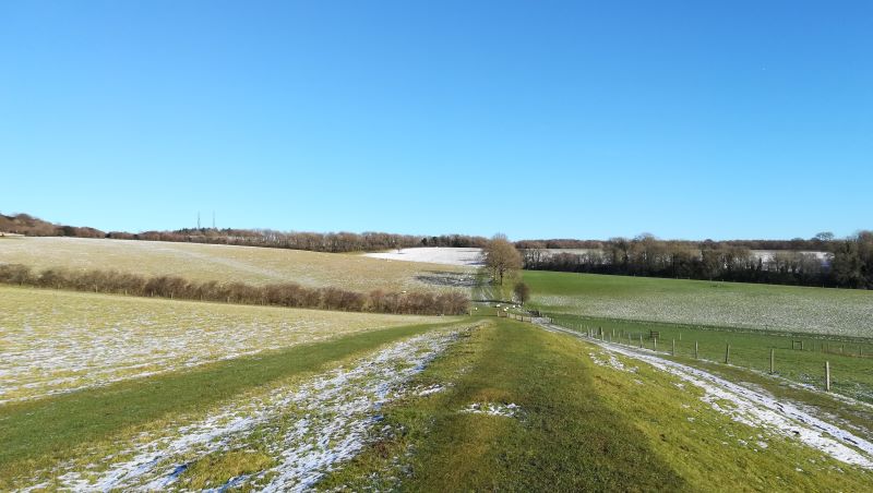 Stane Street (Chichester section)