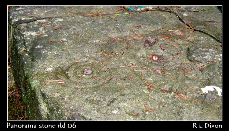 cup and rings 
panorama stone 
4-2-2011