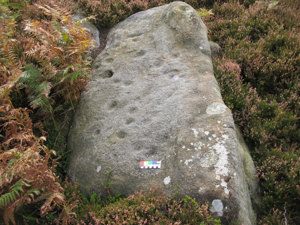 Carving 'Woofa Bank 07' on ERA forms part of a prehistoric enclosure. From the size, I'd assume the stone is in its original position.

The easterly sloping surface has cups and a angular groove. 

Image captured 18th September 2009.  



