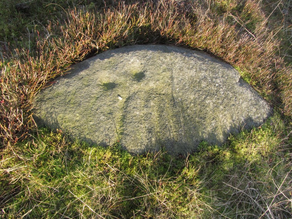 Carving called 'Craven Hall Hill 01' on ERA and referenced 390 in 'Prehistoric Rock of the West Riding'
The level of preservation of the motifs, probably suggests this unusual carving has spent most of its life covered.
Image Captured 15 November 2012. 
Image Credit: Carved Stone Investigations: Rombalds Moor Volunteers / England’s Rock Art
 