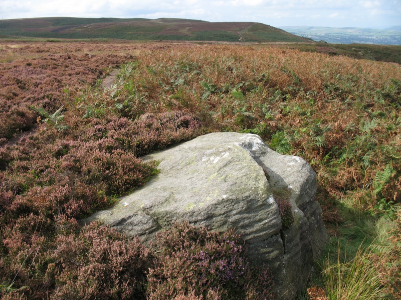 Carving referenced 316 in Boughey & Vickerman's 2003 publication 'Prehistoric Rock Art of the West Riding', and subsequently added to ERA by the CSI:Rombalds Moor Project as Pancake Ridge 06. 

The stone has one possible cup and two other natural depressions.

Image captured 15/09/2009. 