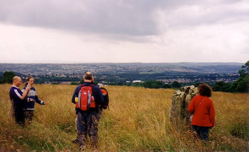 Bull Stone