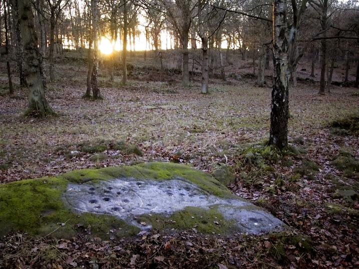 Cottingley Woods