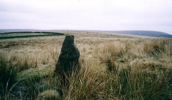 One of the three possible standing stones on the hill. 