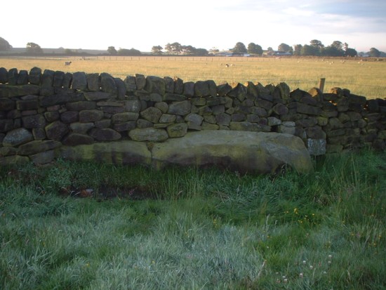 The Forgotten Bull Stone?  See main article for details.