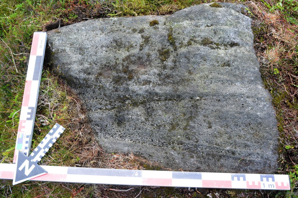 Carving referenced 'Cow and Calf 05' on ERA and 313 in 'Prehistoric Rock Art of the West Riding'.

Although not apparent in this shot, the stone has 15 cups carved in two rows. 

Image captured 3 July 2013.

Image Credit: Carved Stone Investigations: Rombalds Moor Volunteers / England’s Rock Art 