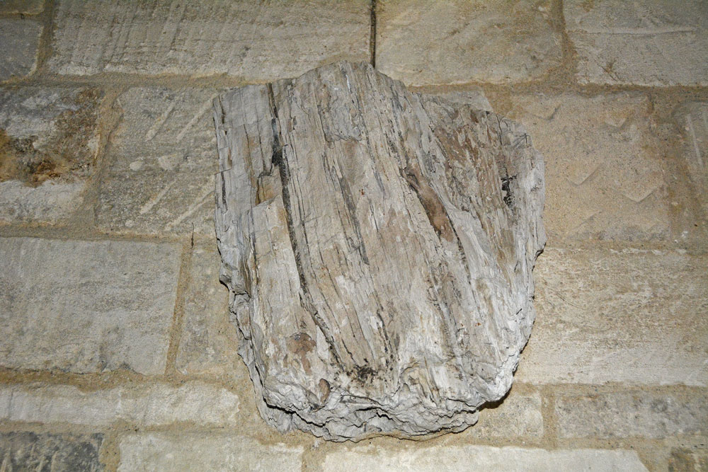 Close up of the fossilized wood, said to be 150 million years old. This forms the middle piece of the display over the altar.