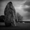 Avebury - PID:17575