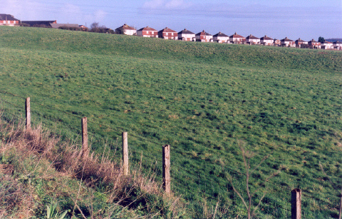 Looking towards Durrington village beside the N/S-running road, this view gives the illusion of its houses seeming to stand on top of the noticeable NE bank of Durrington Walls.