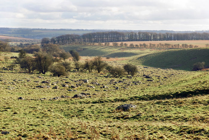 Fyfield Down