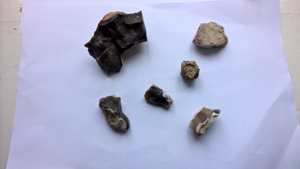 A few of the items I found scattered around the badger setts on the barrow: 4 pieces of flint, what looks like a piece of bone (animal, vegetable or mineral - your guess is as good as mine) and a piece of stone.
A couple of the flints looked worked.