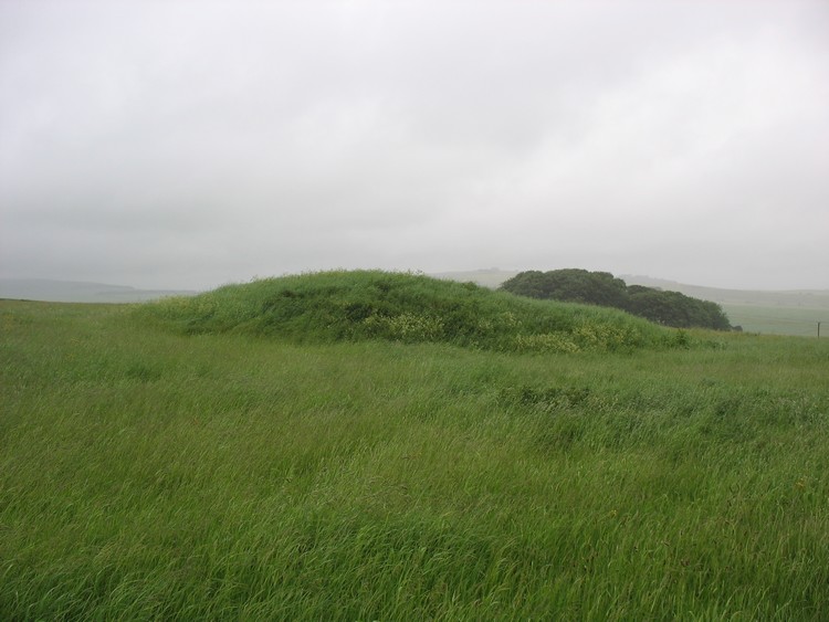 Bishops Cannings 89 Bowl Barrow