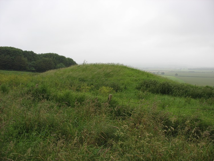 Collingbourne Kingston 21 Long Barrow