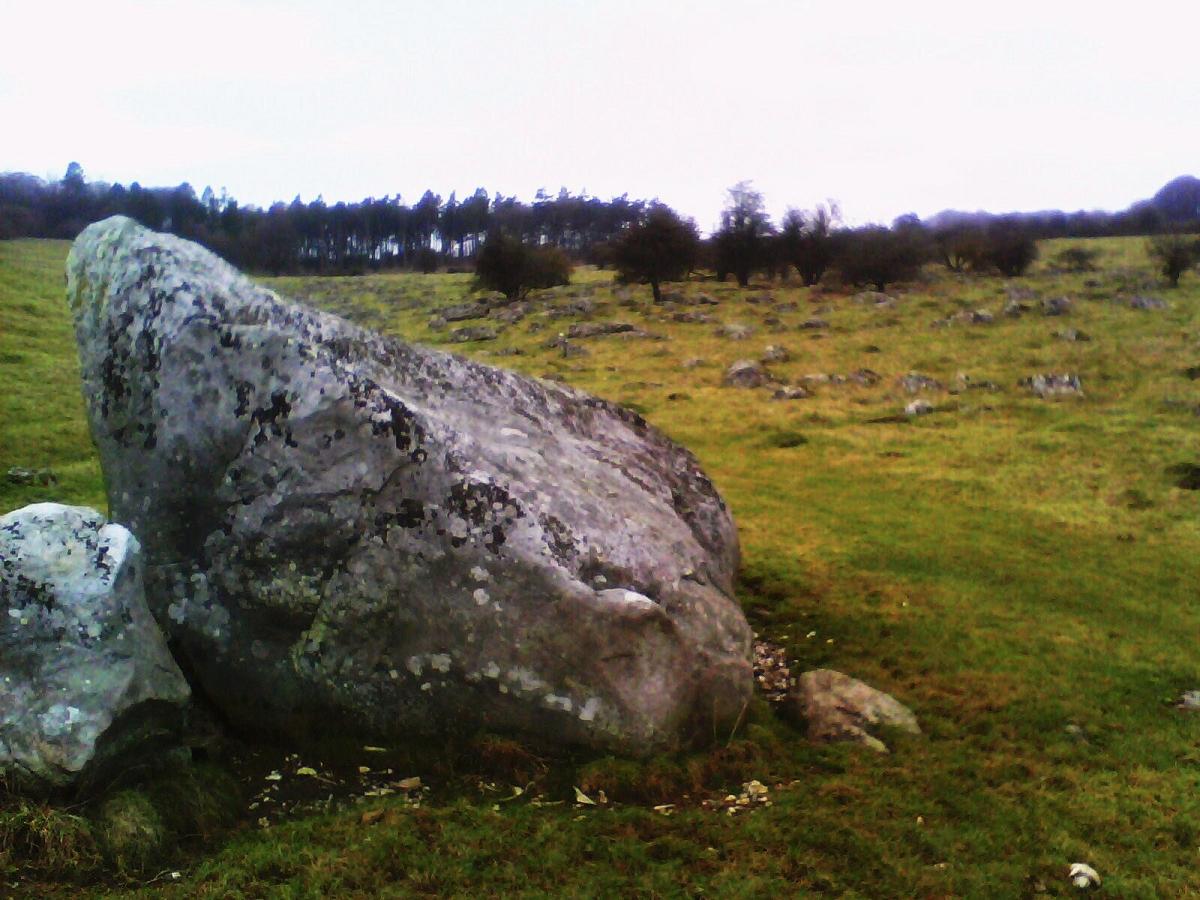 Fyfield Down