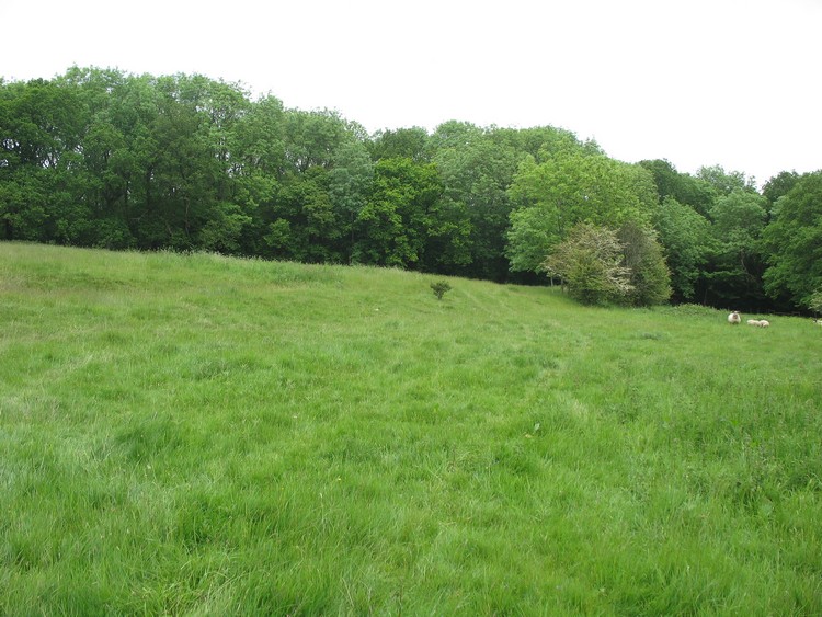 Haydown Hill Field System