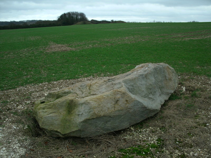 The Bulford Stone with the barrows to the south west in the background.