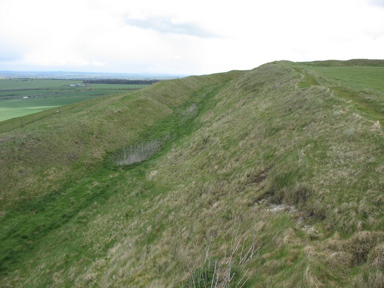Earthworks in northern part of Liddington Castle. This Iron Age univallate hillfort encloses 3 ha (photo taken on April 2012).