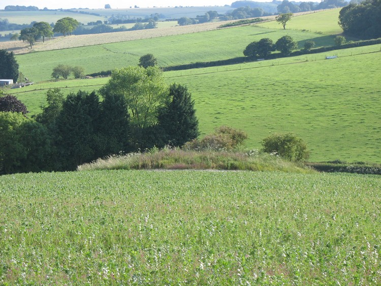 Membury Bowl Barrow