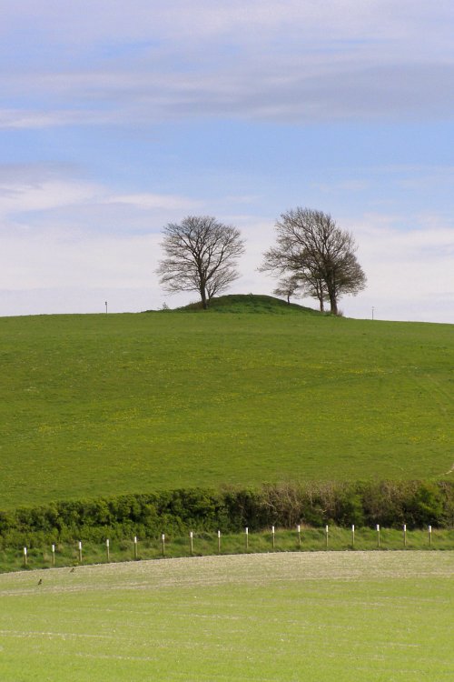 View southeast towards Middle Hill from the footpath on Battlesbury Hill. The row of white-topped posts indicates a cutting which contains a 'tank road' between the Warminster Training Centre and the Imber Range.