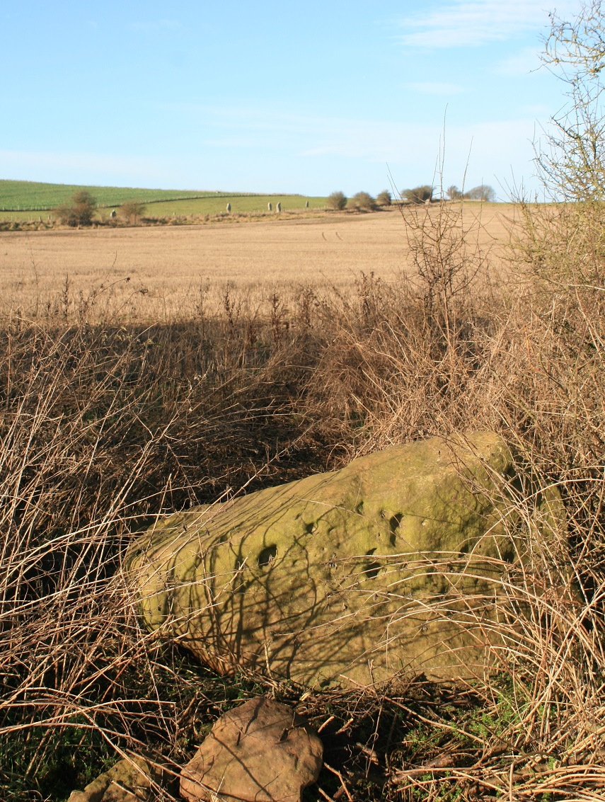 Big stone in the hedge near Faulkners circle