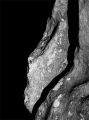 Avebury Stone 35a: Left profile sculpture at Avebury - PID:214135